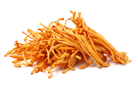 Cordyceps Mushroom Benefits