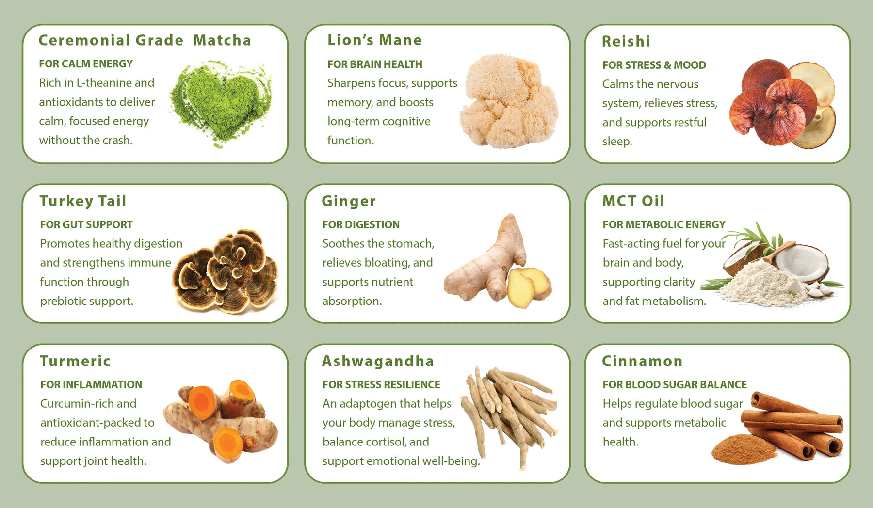 Matcha, mushrooms, turmeric, ginger and adaptogens laid out together